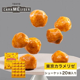 東京みやげ 焼き菓子 / 東京カラメリゼ シューケット 20個入り/ 東京土産 スイーツ ギフト 詰め合わせ 個包装 洋菓子 手土産 内祝 お返し プレゼント 御祝 御礼 結婚 出産 職場 会社 退職 日持ち あす楽