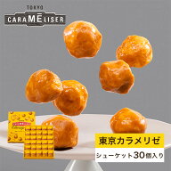 東京みやげ 焼き菓子 / 東京カラメリゼ シューケット30個入り/ 東京土産 スイーツ ギフト 詰め合わせ 個…