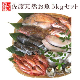 【送料無料】ボリュームタップリ 佐渡産 天然お魚セット約5kg入って￥6,580　とにかくいろんな魚が入ってます！