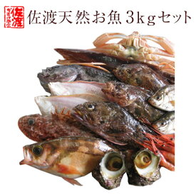 【送料無料】佐渡産 天然お魚セット約3kg入って￥5,580　とにかくいろんな魚が入ってます！