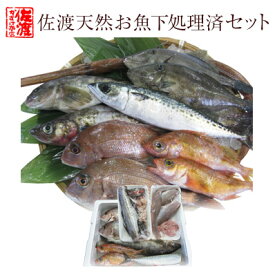 楽天市場 魚セットの通販