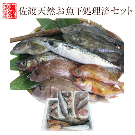 【送料無料】佐渡産 天然お魚セット　標準タイプ［下処理済］￥5,880　いろんな魚が入ってます！