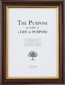 y2܂łȂ瑗290~iXցjOKzhi@tHgt[ SF08-2L-DBR@2Ly񂹁z