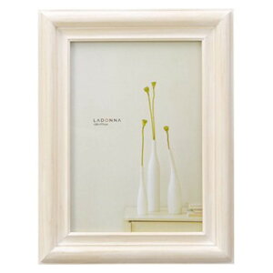 y1Ȃ瑗290~iXցjOKzhi@tHgt[ DF44-2L-WH@2Ly񂹁z