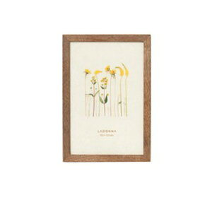 y2܂łȂ瑗290~iXցjOKzhi@tHgt[ DF53-P-BR@|XgJ[hy񂹁z