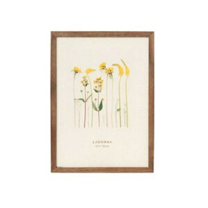 y2܂łȂ瑗290~iXցjOKzhi@tHgt[ DF53-2L-BR@2Ly񂹁z