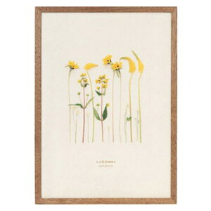 y1Ȃ瑗290~iXցjOKzhi@tHgt[ DF53-A4-BR@A4y񂹁z