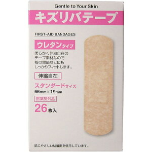 y3܂ő290~iXցjOKzLYoe[v@E^^Cv@X^_[h@26y񂹁z