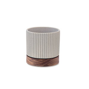 �^�C�f�B�|�b�g �O���[�@��11×H11cm�@�Z���~�b�N/�A�J�V�A�y�����񂹁z�y�X��NG�z