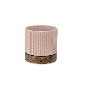 ^CfB|bg sNx[W@11×H11cm@Z~bN/AJVAy񂹁zyXNGz