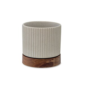 ^CfB|bg O[@13.5×H13.5cm@Z~bN/AJVAy񂹁zyXNGz