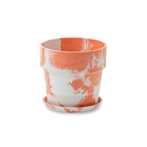 A[ovc|bg Lbg/~N@16.5×H15.5cm@5y񂹁zyXNGz