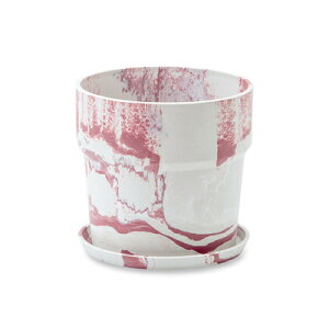 A[ovc|bg ~N/JVX@19.5×H18.5cm@6y񂹁zyXNGz