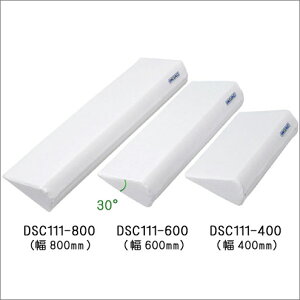 yz̈ʌŒ⏕NbViʋCT[eBpbhj@DSC111-400y񂹁zyXNGz