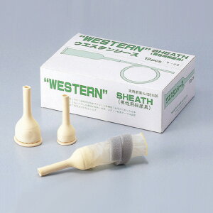 jp̔A@EGX^V[X@12y񂹁z