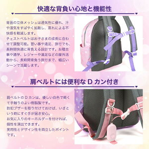 ~L[`F[ bN fCpbN ̎q Pretty Princess veBvZX