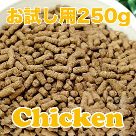 ダックスフンド 用 ドッグフード フジアースフィールド チキン 小粒 250g 小麦グレインフリー お試し用 国産 無添加ドックフード ドライ 獣医師推奨 ペットフード ドックフードシニア 中型犬ドッグフード 超小型犬 成犬