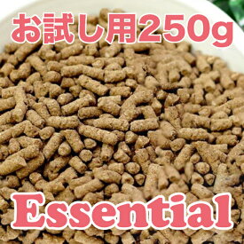 ダックスフンド 用 ドッグフード フジアースフィールド エッセンシャル 小粒 250g 小麦グレインフリー ドックフード 国産 無添加 ドッグフードシニア 犬用ご飯 シニアドッグフード シニア犬 老犬 かりかり 超小型犬 小型犬