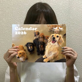 フジアースフィールド オリジナル ダックスフンド カレンダー 2026 壁掛け 2025年11月から2026年12月の14ヶ月カレンダー