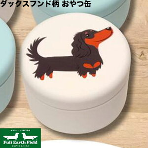 _bNXth  p Lp }n[hbO g[c   ۑe  U   ^ g[jO Mtg v[g p ybgp y