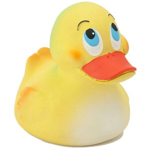 y_tf[p2{zLANCO _bL[CG[ Z[ hV̓ |Cg