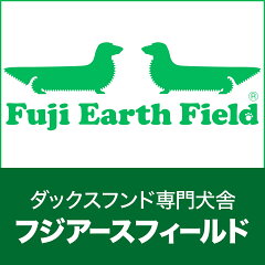 ダックス専門フジアースフィールド