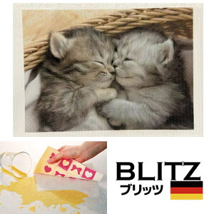 [֑IhCc̃tLfUCubcu661jPHOTOqLvA4TCY200x300x5mmyBLITZ ӂ z NX hCc Lb` Lb`NX VR@ہz Mtg  KX I 