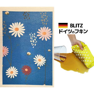 [֑IhCc̃tLfUCubcu747)}[Kbgv A4TCY 200×300×2mm()yBLITZ ӂ z NX hCctL z  KX I ؂}bg