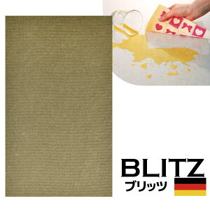 [֑hCc̃tLfUCubcu791)X^CbVE ߐFvA4TCY 200×300×2mm()n̒܂ŐFĂAMEvX̂߁A20قǎk