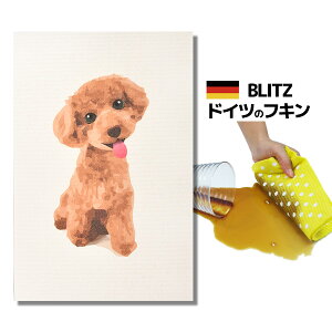 [֑IhCc̃tLfUCubcu858)@v[h vA4TCY 200×300×2mm() yBLITZ ӂ z NX Lb` Lb`NX Lb`Cv X|WCv h