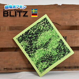 [sAX^C 299~I uhCc̃tL ubc BLITZ XEF[ffUC SIZE:200×170×5mm v Lb`Cv X|WCv z VR@ [  k@hCc  K