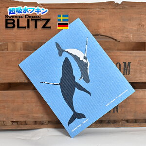[sAX^C 299~I uhCc̃tL ubc BLITZ XEF[ffUC SIZE:200×170×5mm v Lb`Cv X|WCv z VR@ [  k@hCc  K