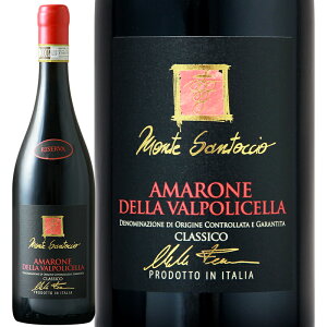 赤ワイン Monte Santoccio モンテ サントッチョ アマローネ デッラ ヴァルポリチェッラ クラッシコ リゼルヴァ 2015 750ml 【正規輸入品】 イタリアワイン