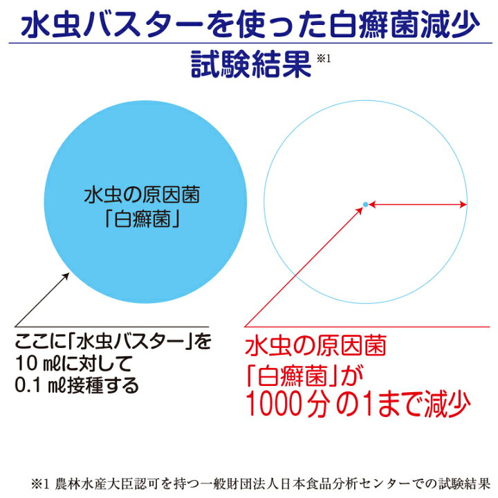 楽天市場 あす楽 送料無料 お得な5lパック 足の臭いが簡単に消える洗剤 水虫バスター 夏の足の臭いを消してしまおう 水虫 洗剤 臭い 足の臭い 脱臭 消臭 液体洗剤 くさい 靴下 スパイク 靴 Fujimedicalservice 楽天市場店