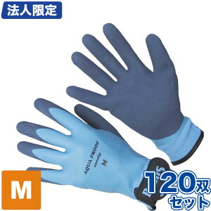 y@lzANAv[t h 120oZbgylzsz[25-01/ϐ/hO[u/Ɨp]