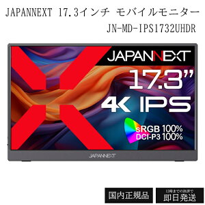 }\IGg[û݁vP10{ JAPANNEXT 17.3C` oCj^[ IPS pl 4K UHD 3840x2160𑜓x X}[gP[Xt (USB/Type C/PCΉ/Xs[J[ / sRGB100% / ) JN-MD-IP