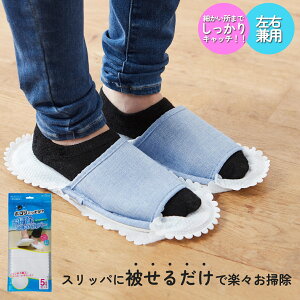 |XbpJo[ 5g(10) 莝̃Xbpɔ킹邾I ق Lb` Ȃ| | t[O ̖ ybg̖ Z tW xm FUJI JAPAN yVqɂ甭