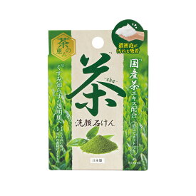 国産茶エキス配合 洗顔石けん 茶の恵み 90g 日本製 うるおい成分4種、天然保湿成分4種配合 自然なお茶の香り 泡立てネット付属 固形石鹸 保湿 泡立ち 毛穴 くすみ 低刺激 カテキン 緑茶 富士 FUJI JAPAN 新着