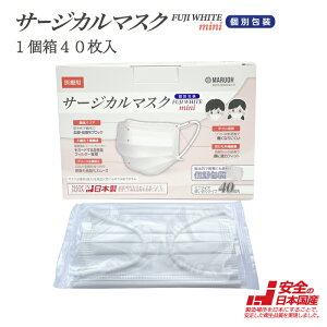 Iy{ ×p T[WJ}XN JIS T9001NX2 Kzqp  ʕ 140 FUJI WHITE mini {Y
