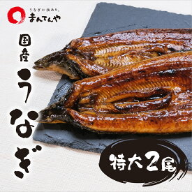 うなぎ蒲焼 特大 2尾 セット まんてんや 福岡養鰻 国産 うなぎ 鰻 冷凍 冷凍うなぎ かば焼き お中元 セット ギフト 贈り物 お中元うなぎ お取り寄せグルメ お土産 お取り寄せ パック 詰め合わせ 母の日 父の日 フジボー