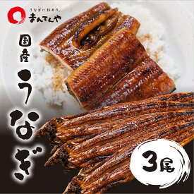 うなぎ蒲焼 大 3尾セット まんてんや 福岡養鰻 国産 うなぎ 鰻 冷凍 冷凍うなぎ お中元 セット ギフト 贈り物 お取り寄せグルメ お土産 お取り寄せ パック 詰め合わせ お中元うなぎ 母の日 父の日 フジボー