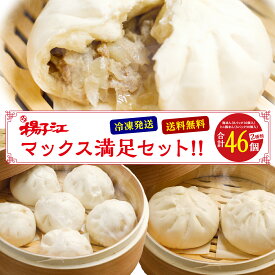 小倉 揚子江の豚まん マックス 満足 セット 豚まん 16個 ミニ豚まん 30個 肉まん にくまん ぶたまん 冷凍 国産 レンジ 中華 惣菜 福岡 名物 お土産 手土産 お取り寄せ ギフト プレゼント 誕生日 女性 男性 人気 北九州名物 送料無料 フジボー