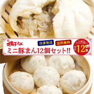 【100円OFFクーポン 6/4 20:00〜6/11 1:59】揚子江 ミニ 豚まん 12個 セット ぶたまん 大容量 業務用 冷…
