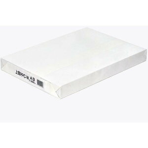 Rs[p A3 500 ㎿Y zCg PPC-WA3 {