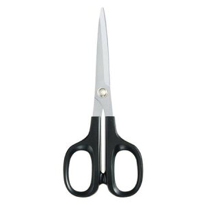 RN nT~ HASA HASA003 Hp nn70mm