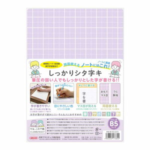 共栄プラスチック しっかりシタ字キ B5判 ぶどう SHS-B5-02 硬筆 下敷き 下じき ソフト下敷き ソフト下じき