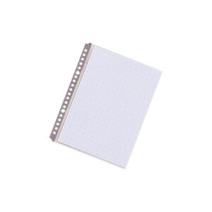 qgu | [tH[X NA[|Pbg A5S  N2010AC