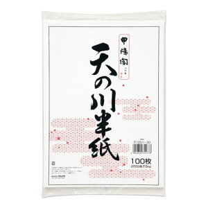 }AC V̐씼 100 P100n-30