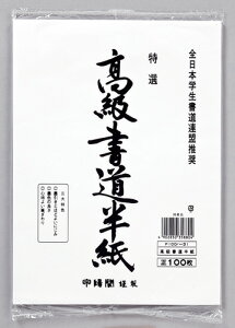 }AC  100 P100n-31