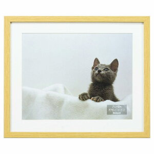 yʌiziJoV ؐʐ^z 6c i` F-SW-112-N